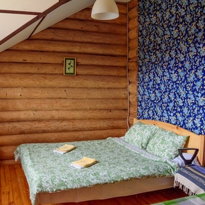 Эконом - "Васильковая комната"