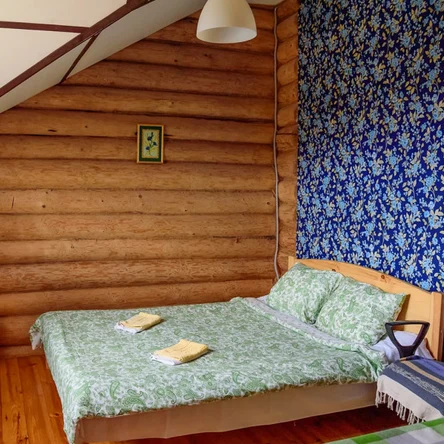 Эконом - "Васильковая комната"