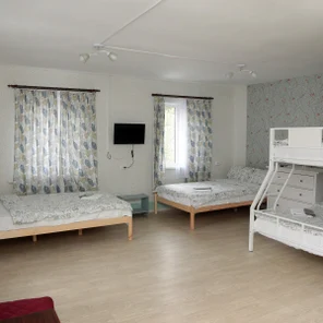 Комфорт - Птички